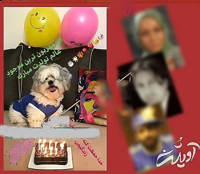 پرستو صالحی
